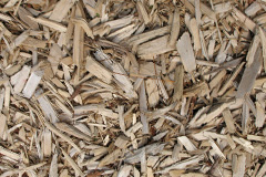 biomass boilers Arduaine